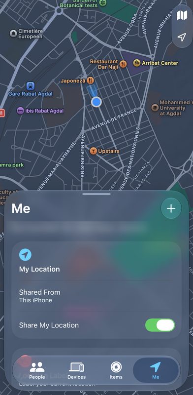 „Wo ist?“ auf dem iPhone mit eingeschalteter Standortfreigabe und dem von Roam gesetzten Standort